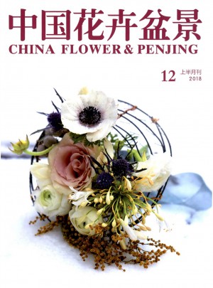 中国花卉盆景杂志 