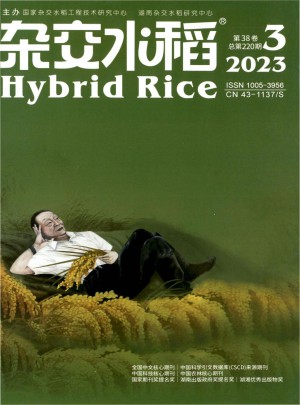 杂交水稻杂志 