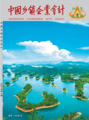 中国乡镇企业会计杂志 