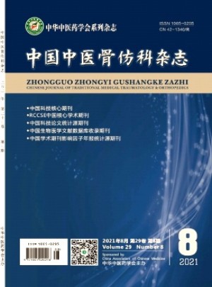 中国中医骨伤科杂志 